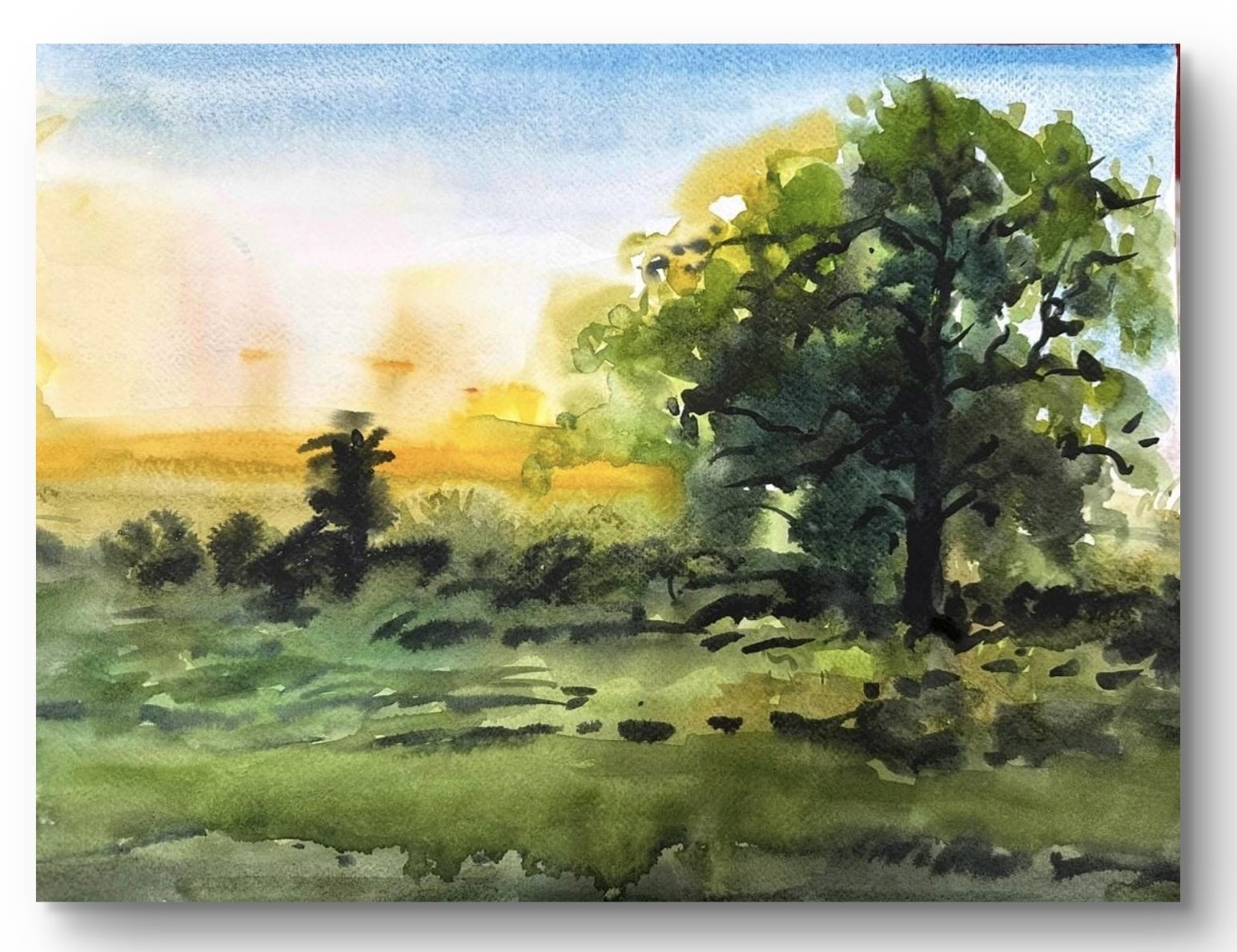 Sunset over a meadow with a large tree