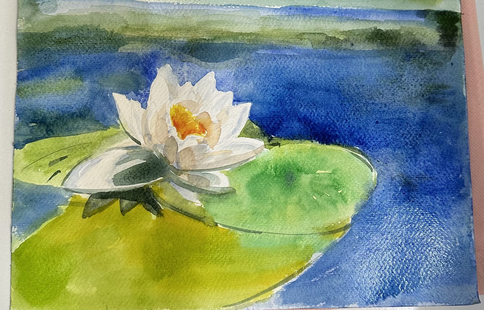 White water lily on a lily pad